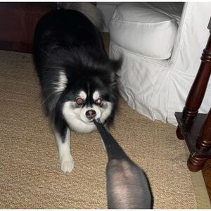 UNLISTED SHOW ITEM 18